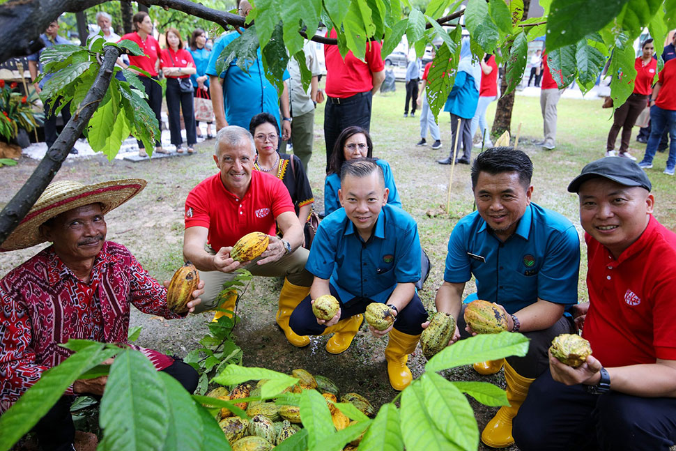 Local farmer introducing the Borneo's Trinitario cocoa