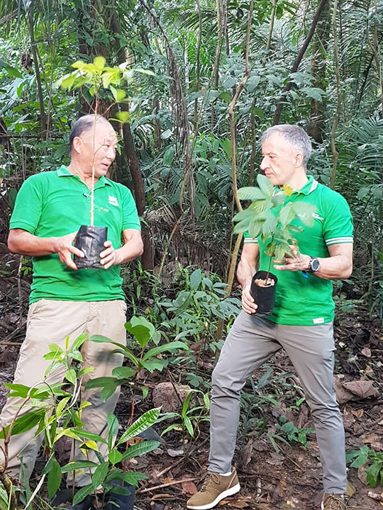 A significant contribution to Malaysia’s reforestation efforts
