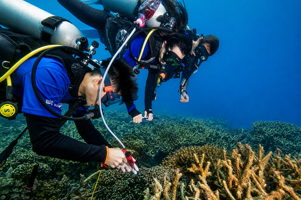 Nestlé Malaysia Strengthens Commitment to Coastal Conservation Through Beach Clean-Ups and Underwater Conservation
