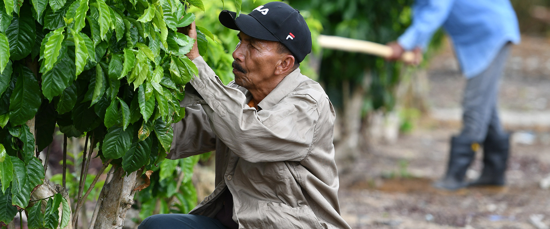 Local Farmer