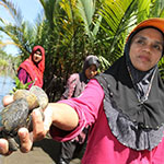 WWF Project for the conservation of the Setiu Wetlands