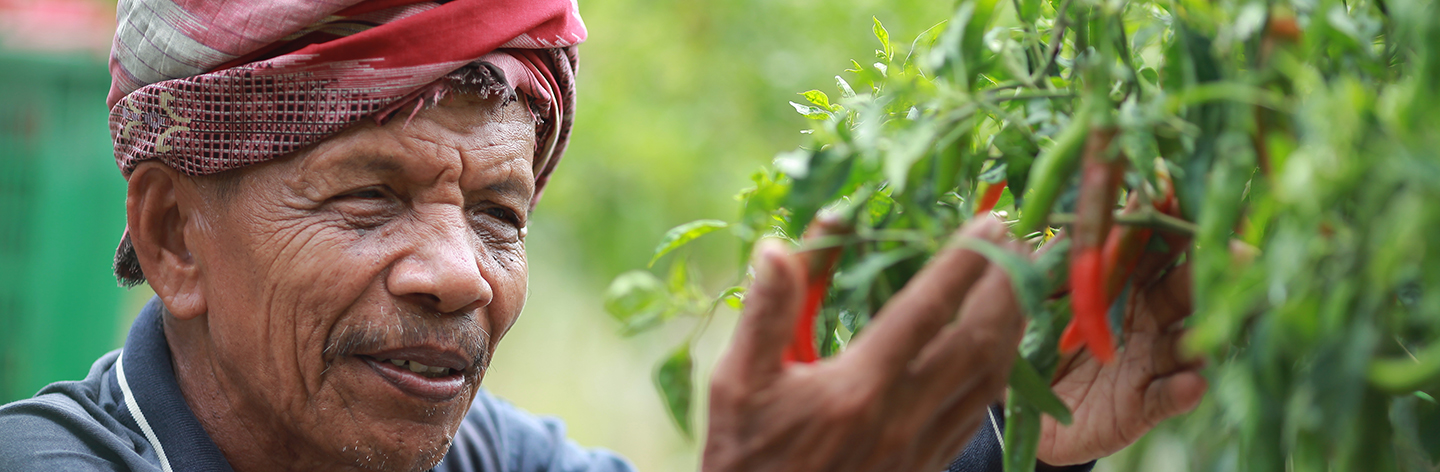Farmer Connect: Uplifting Livelihoods in Local Communities