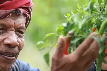 Farmer Connect: Uplifting Livelihoods in Local Communities