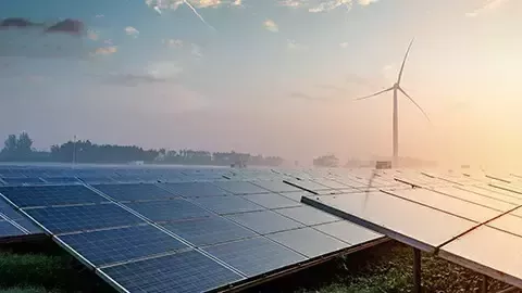 sustainability-climate-net zero-card-bottom