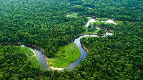 Regenerative Agriculture