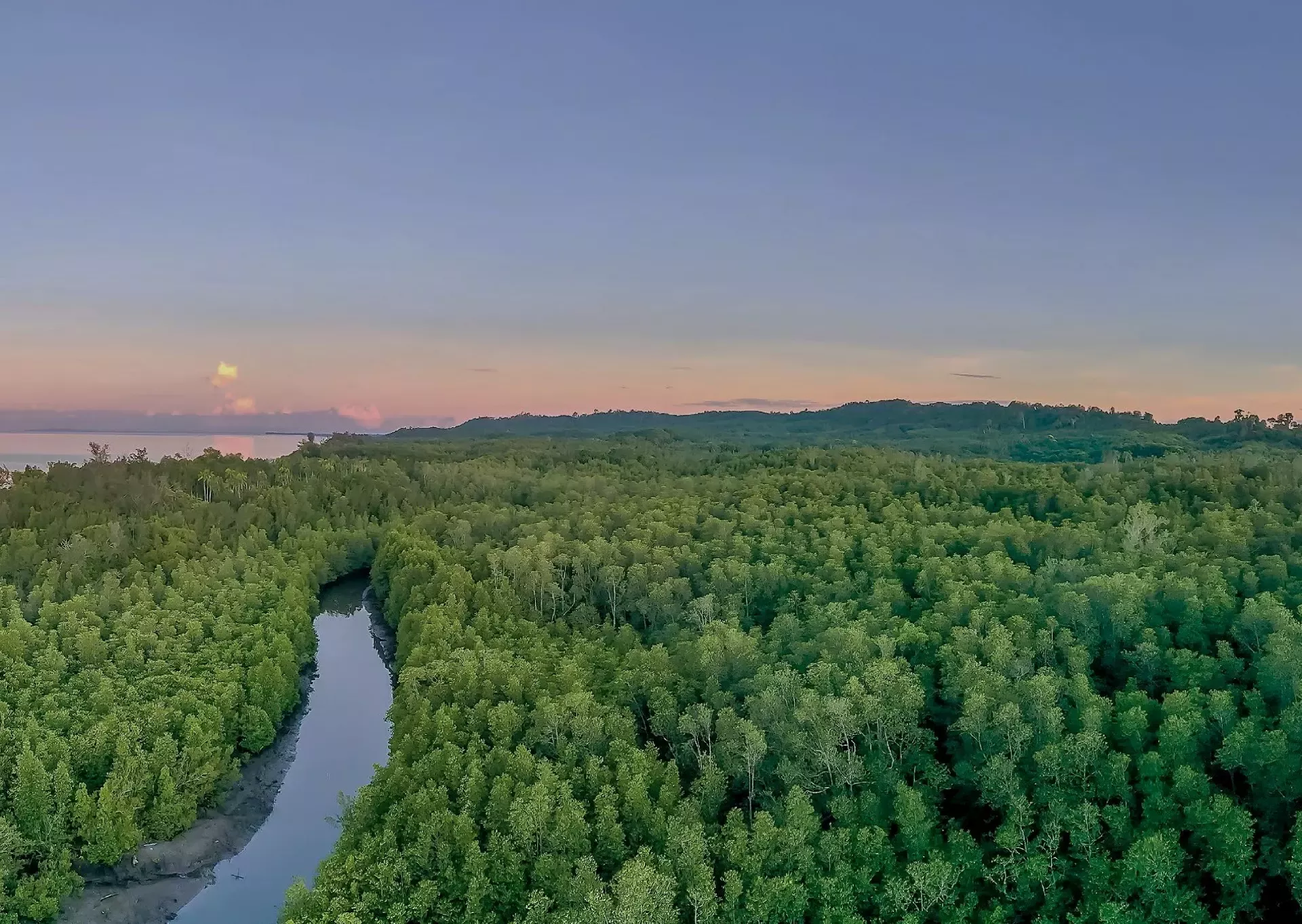 Climate Action
