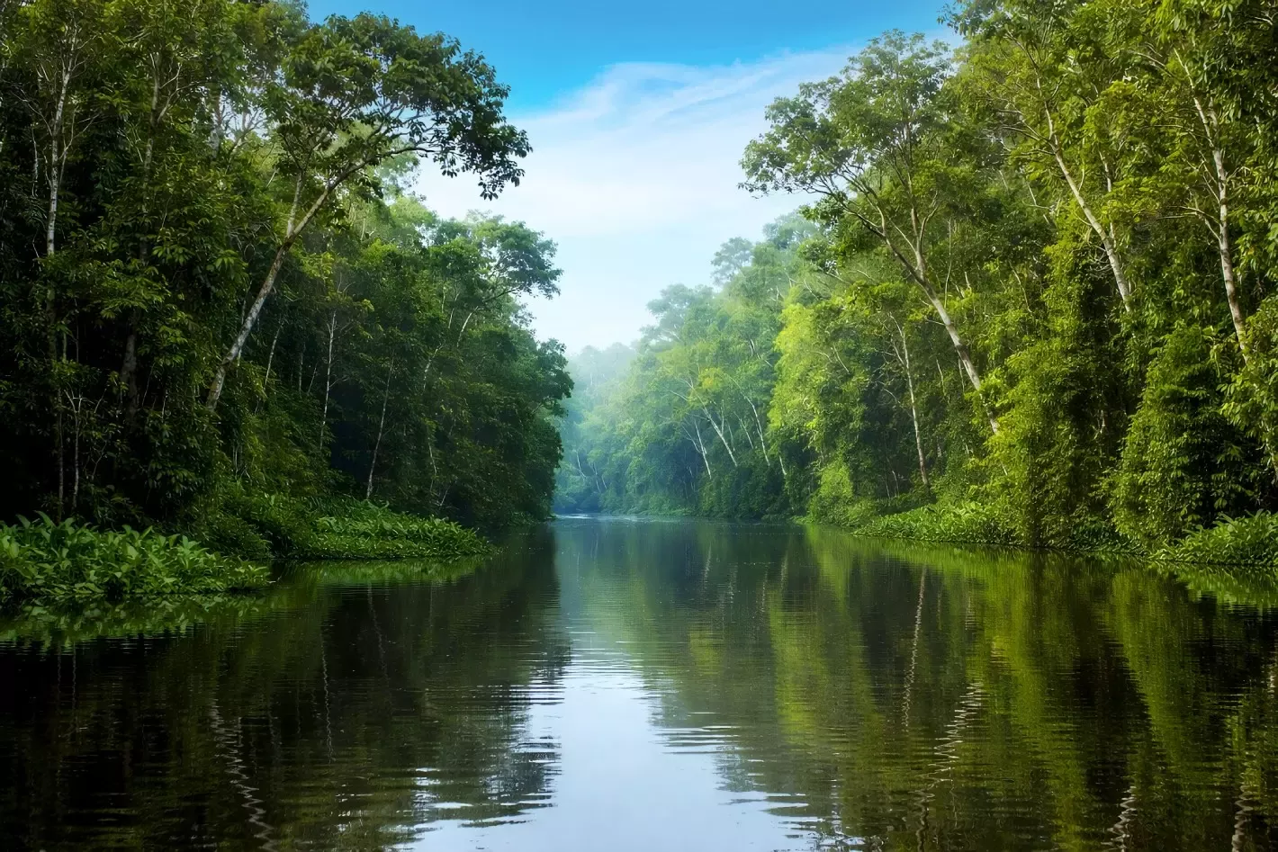 Protecting Nature