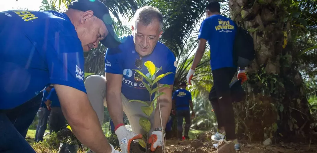 planting