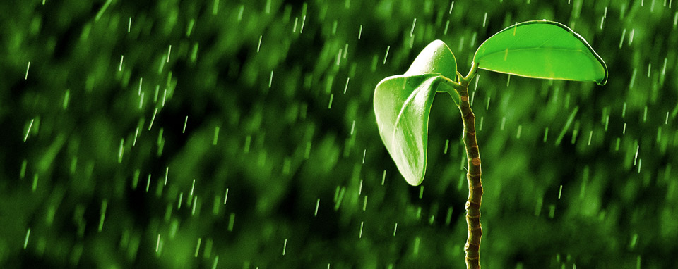 vietnam-farmers-banner